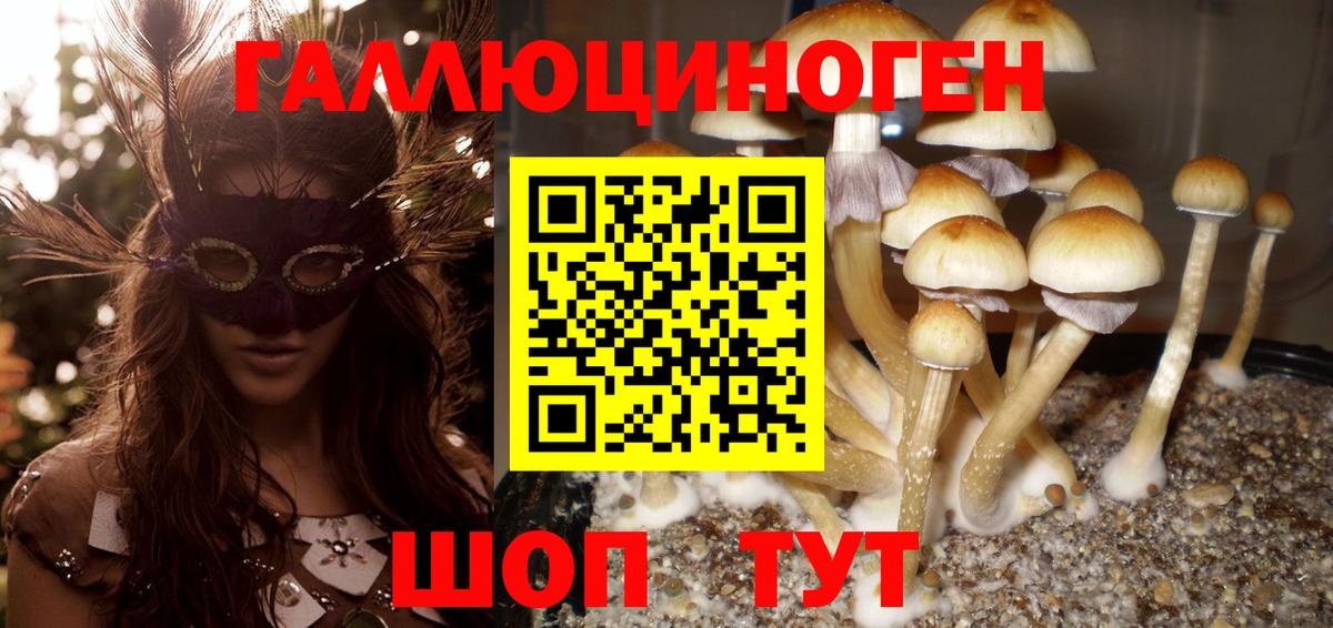 Якутск  наркотики  Вход с VPN  Псилоцибиновые грибы GOLDEN TEACHER 